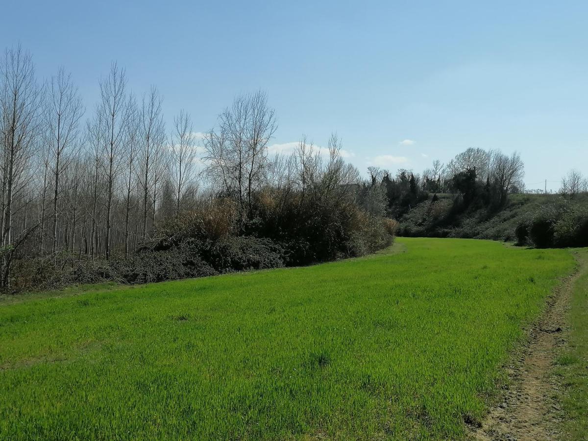 Az.Agricola Agriturismo La Locanda Di Lann Apartment Fucecchio Bagian luar foto