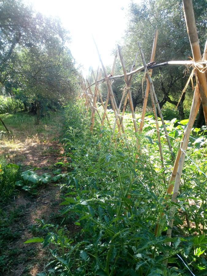 Az.Agricola Agriturismo La Locanda Di Lann Apartment Fucecchio Bagian luar foto