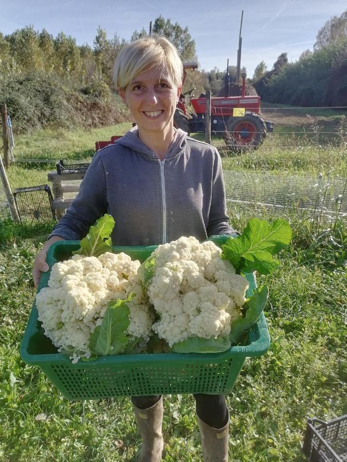 Az.Agricola Agriturismo La Locanda Di Lann Apartment Fucecchio Bagian luar foto