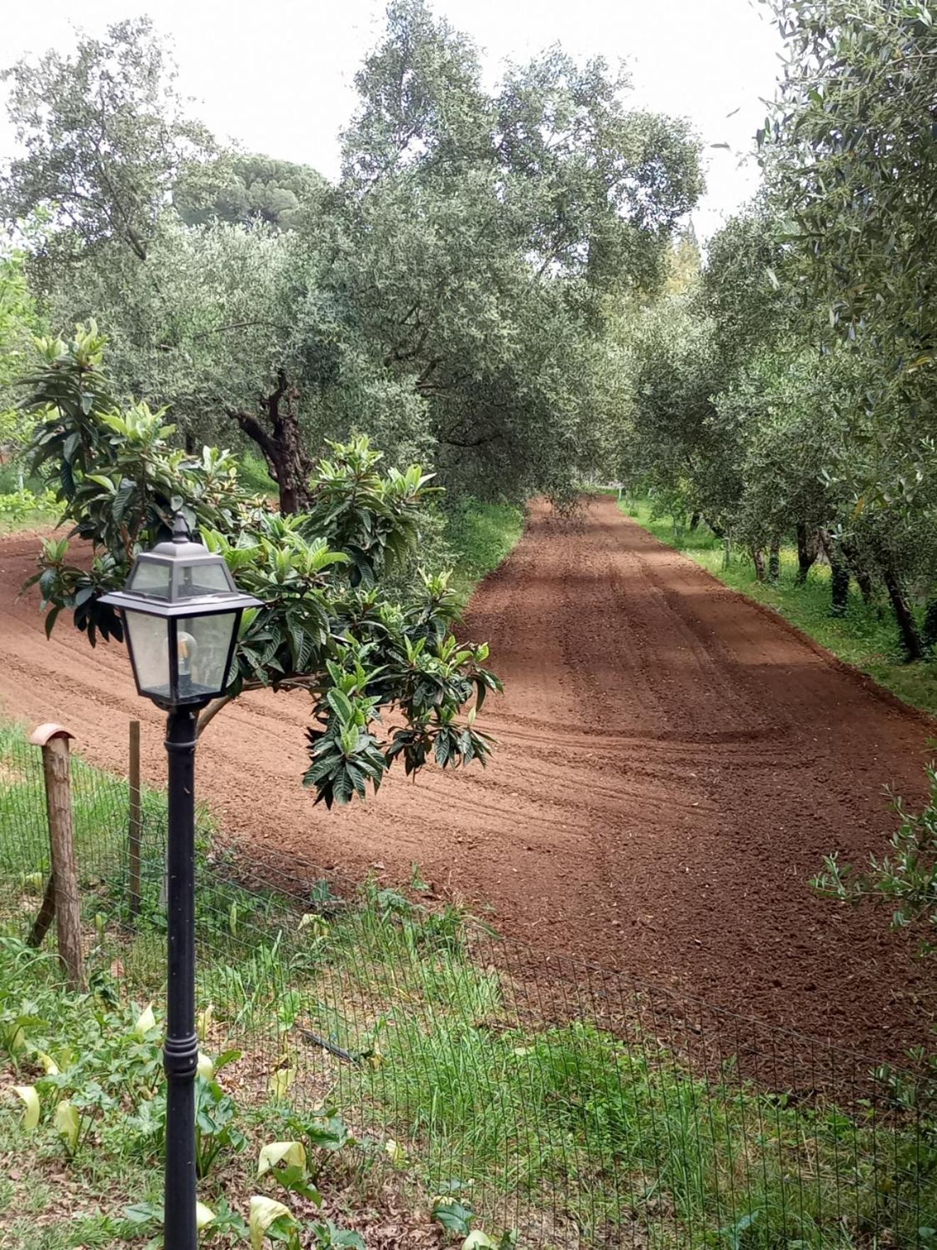 Az.Agricola Agriturismo La Locanda Di Lann Apartment Fucecchio Bagian luar foto