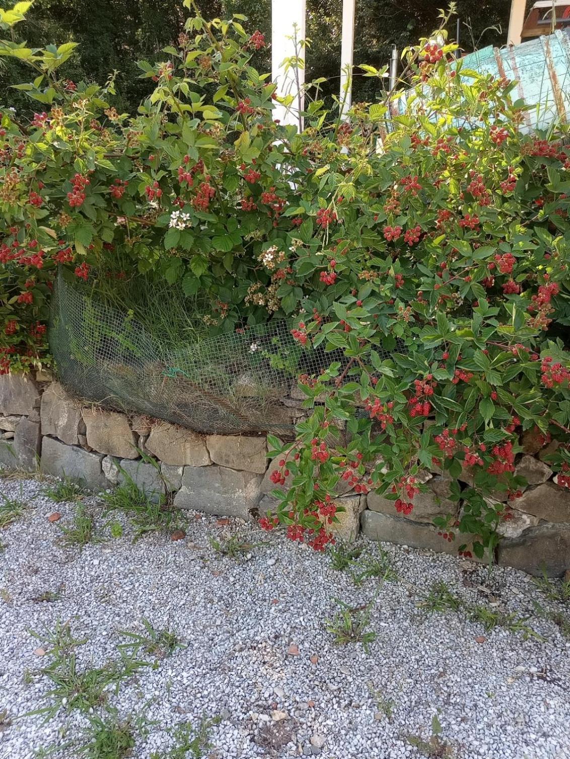 Az.Agricola Agriturismo La Locanda Di Lann Apartment Fucecchio Bagian luar foto